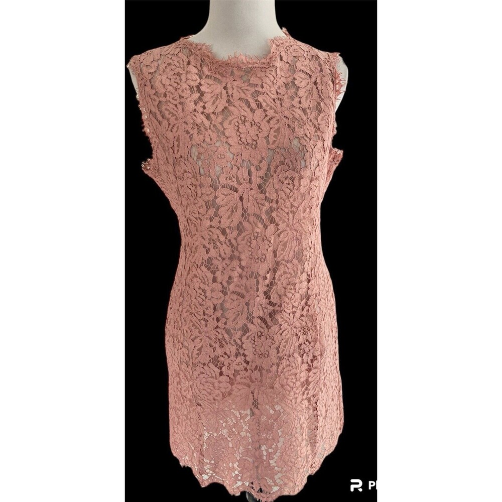 Pink Lace Sheer Sheath Dress Girly Feminine Zip Back Size 6* Front Pockets READ